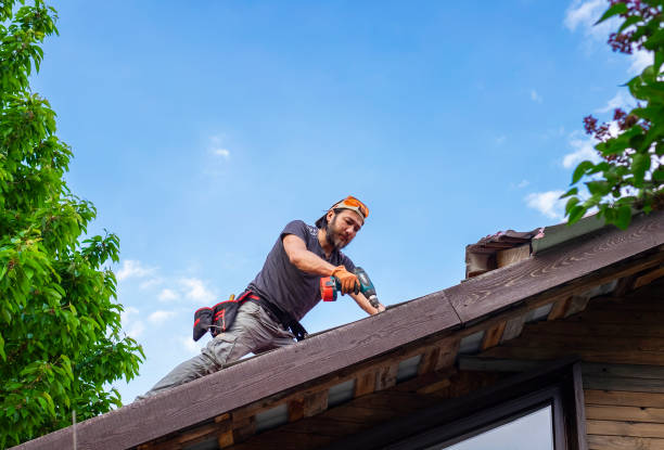 Best Asphalt Shingle Roofing  in Norton, KS